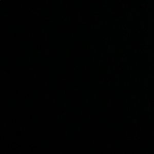 Meet your Posher, Harrison